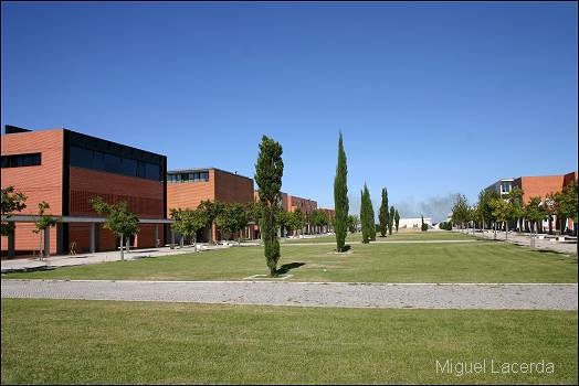 university of aveiro